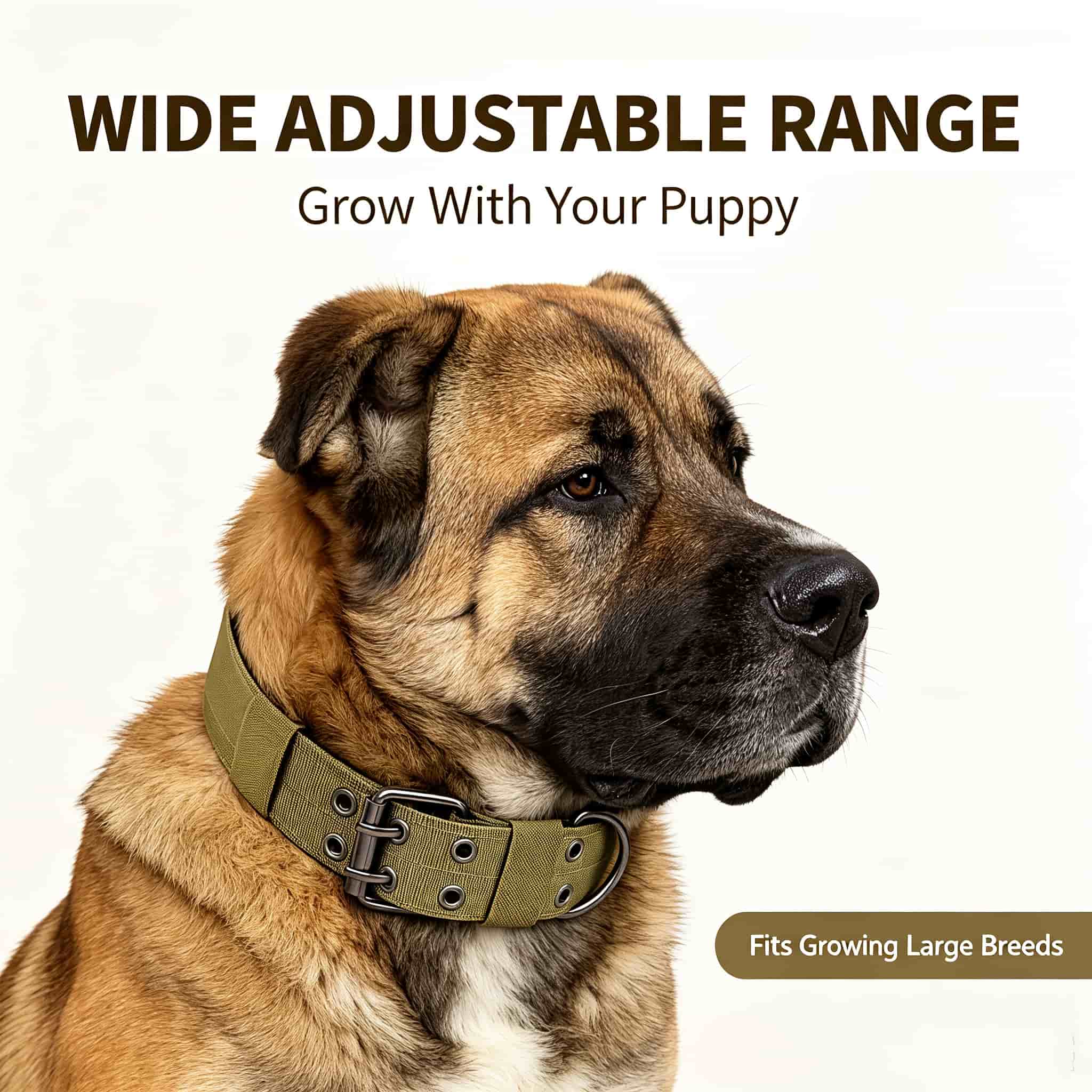 Outdoor Hunting Dog Collar - 카모 전술용 개 목걸이, 헤비 듀티