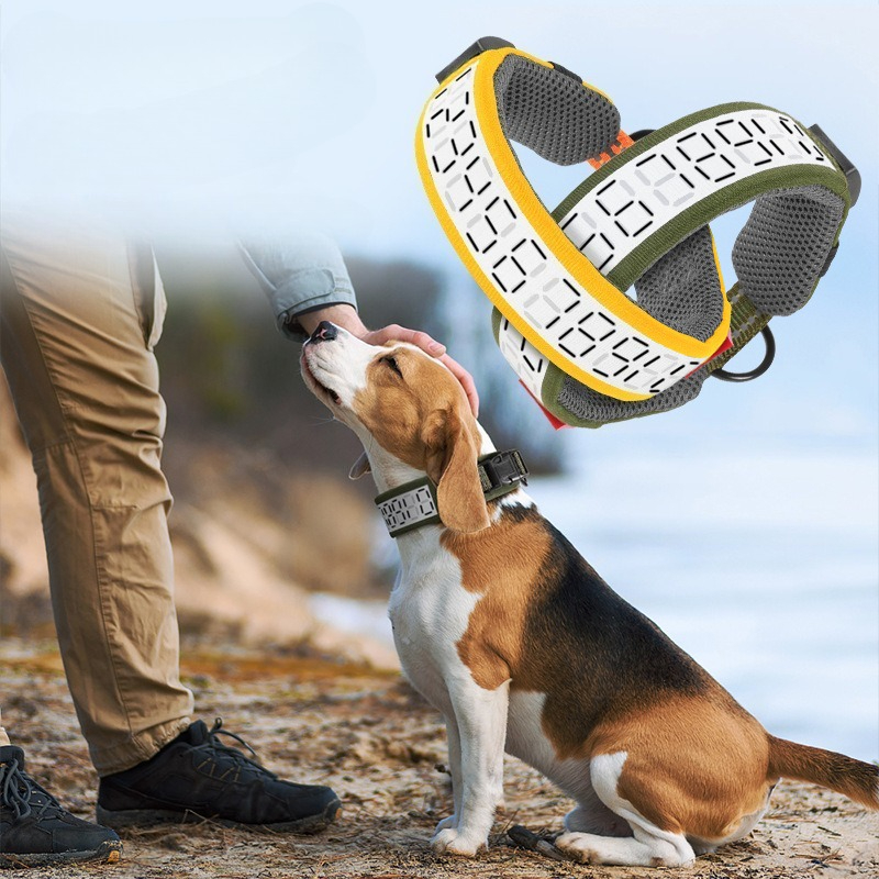 대형견용 야외 반사 개 목걸이, 래브라도 사냥 활동견용 - Outdoor Hunting Dog Collar 리뷰 및 가격