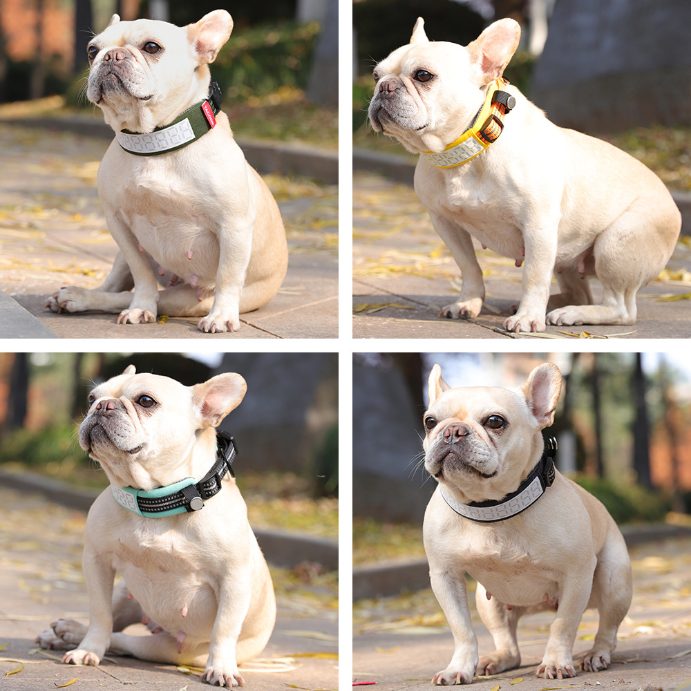 대형견용 야외 반사 개 목걸이, 래브라도 사냥 활동견용 - Outdoor Hunting Dog Collar 리뷰 및 가격