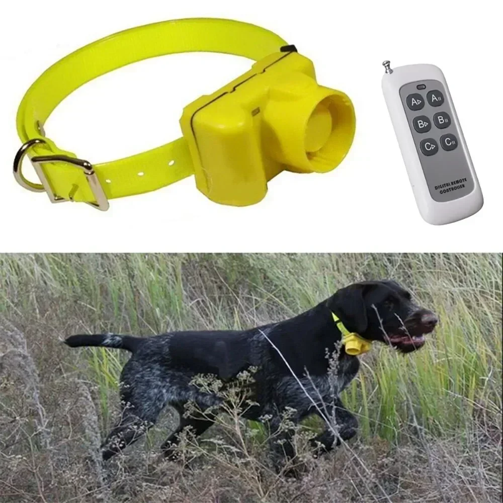 업그레이드된 방수 사냥개용 비퍼 칼라, 8가지 모드 야 - Outdoor Hunting Dog Collar 리뷰 및 가격